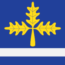 Mladenovac zastava